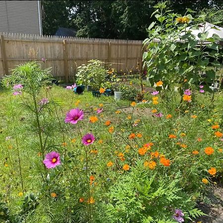 Studio Apt W Garden Kingston Εξωτερικό φωτογραφία