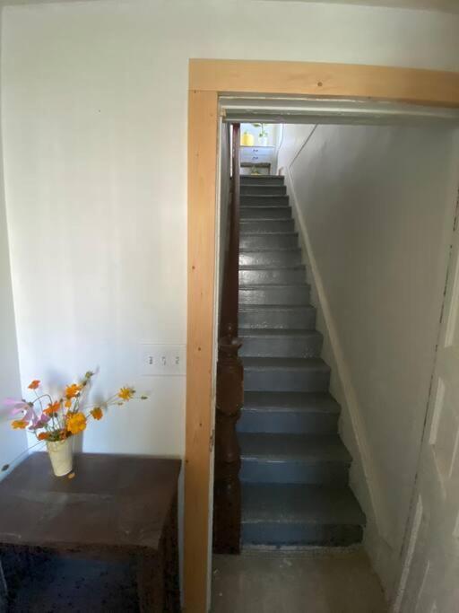 Studio Apt W Garden Kingston Εξωτερικό φωτογραφία