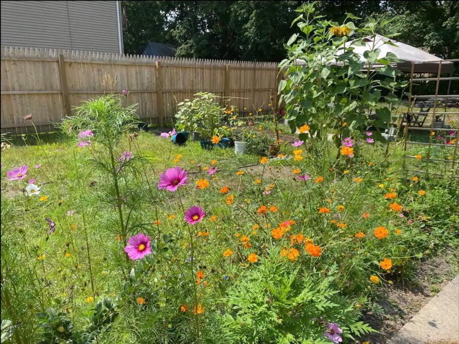 Studio Apt W Garden Kingston Εξωτερικό φωτογραφία