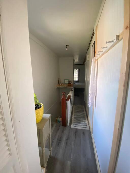 Studio Apt W Garden Kingston Εξωτερικό φωτογραφία
