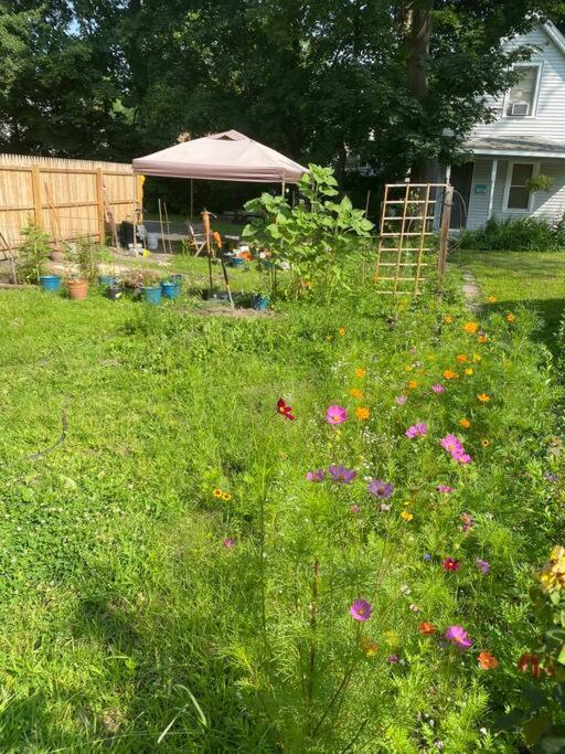 Studio Apt W Garden Kingston Εξωτερικό φωτογραφία